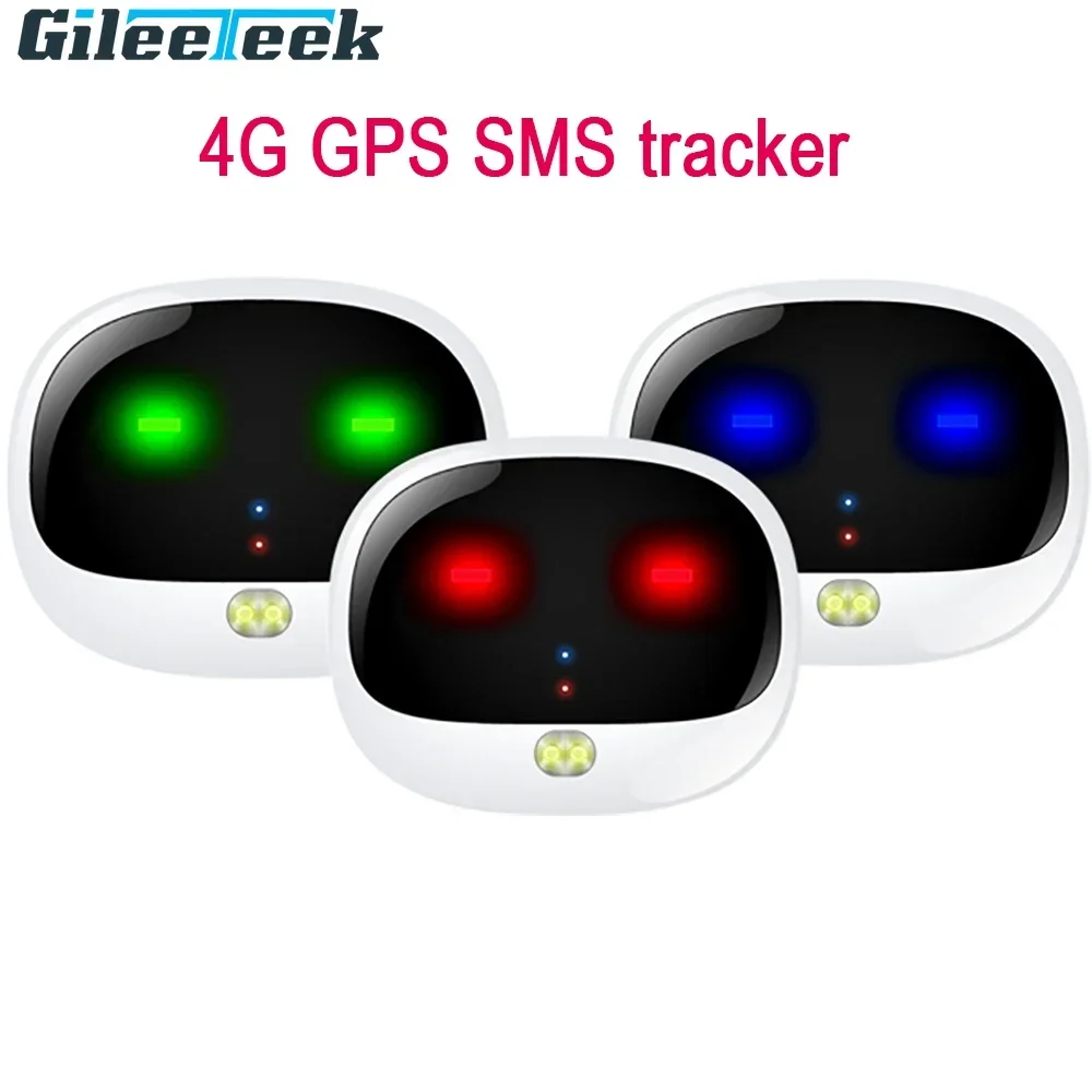 RF-V43 Mini 4G GPS Pets Tracke - Compass Keychain Mini avis et prix