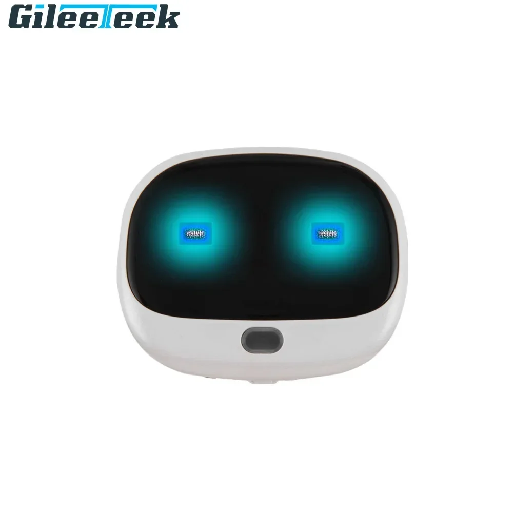 RF-V43 Mini 4G GPS Pets Tracke - Compass Keychain Mini avis et prix